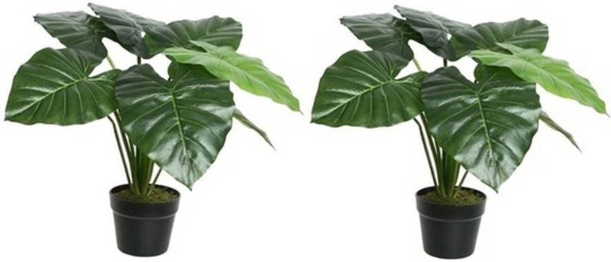 Merkloos 2x Groene taro kunstplanten 52 cm met zwarte pot Kunstplanten