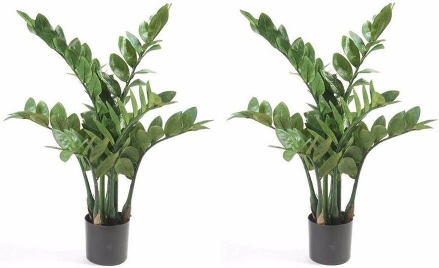 Merkloos 2x Groene kunst Zamioculcus 70 cm Kamerplant kunstplanten nepplanten Kunstplanten
