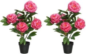 Merkloos 2x Groene roze pioenroos rozenstruik kunstplanten 57 cm met zwarte pot Kunstplanten