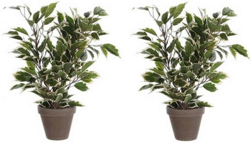 Merkloos 2x Groen witte ficus kunstplanten 40 cm voor binnen Kunstplanten