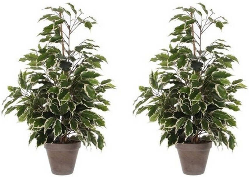 Mica Decorations 2x Groen witte ficus kunstplanten 65 cm Kunstplanten