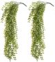 Merkloos 2x Kunstplanten groene ficus hangplant tak 80 cm UV bestendig Kunstplanten - Thumbnail 2