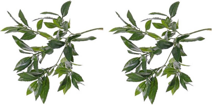 Merkloos 2x Kunstplant lauriertakken van ongeveer 48 cm Kunstplanten - Foto 1