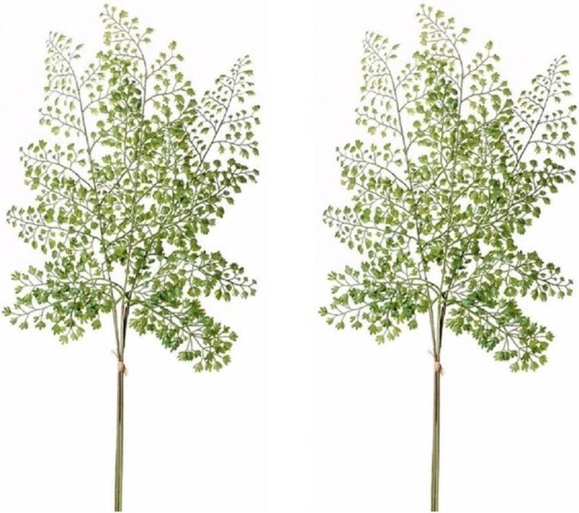 Merkloos 2x Kunstplant takken venushaar tak van 58 cm groen Kunstplanten