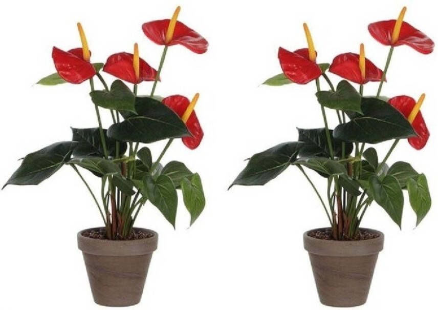 Merkloos 2x Kunstplanten Anthurium rood in grijze pot 40 cm Kunstplanten