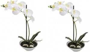 Merkloos 2x Kunstplanten witte orchidee Phalaenopsis in pot 38 cm Kunstbloemen