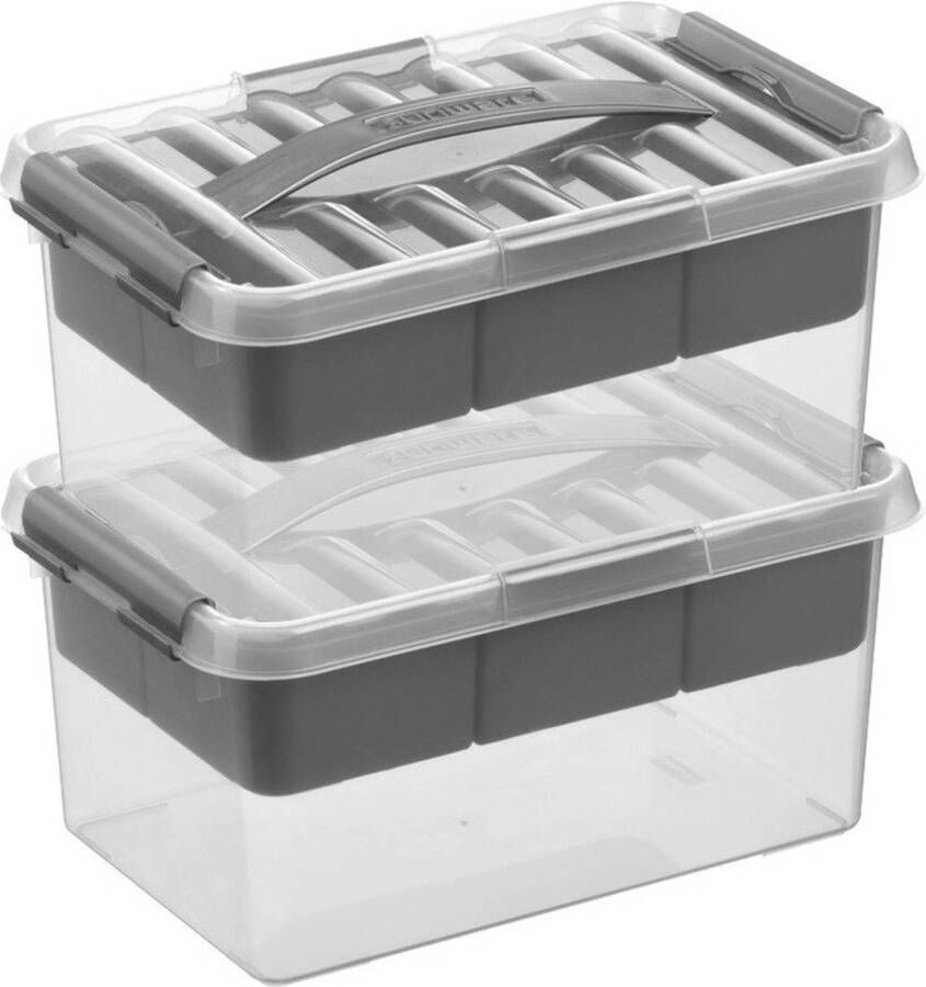 Sunware 2x Q-Line opberg boxen opbergdozen met vakverdeling vakken tray 6 liter 30 x 20 x 14 cm kunststof Gereedschapskist Opslagbox Opbergbak kunststof transparant zilver Opbergbox