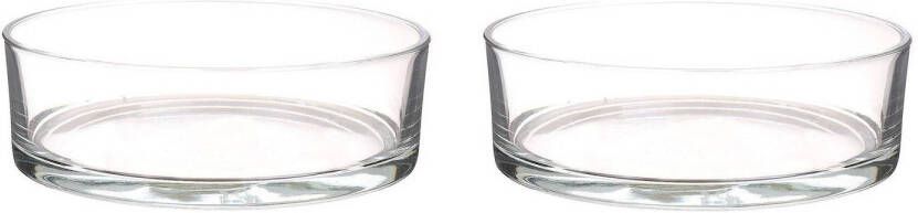 Merkloos 2x Lage glazen schalen transparant glas cilindervormig 8 x 25 cm Vazen