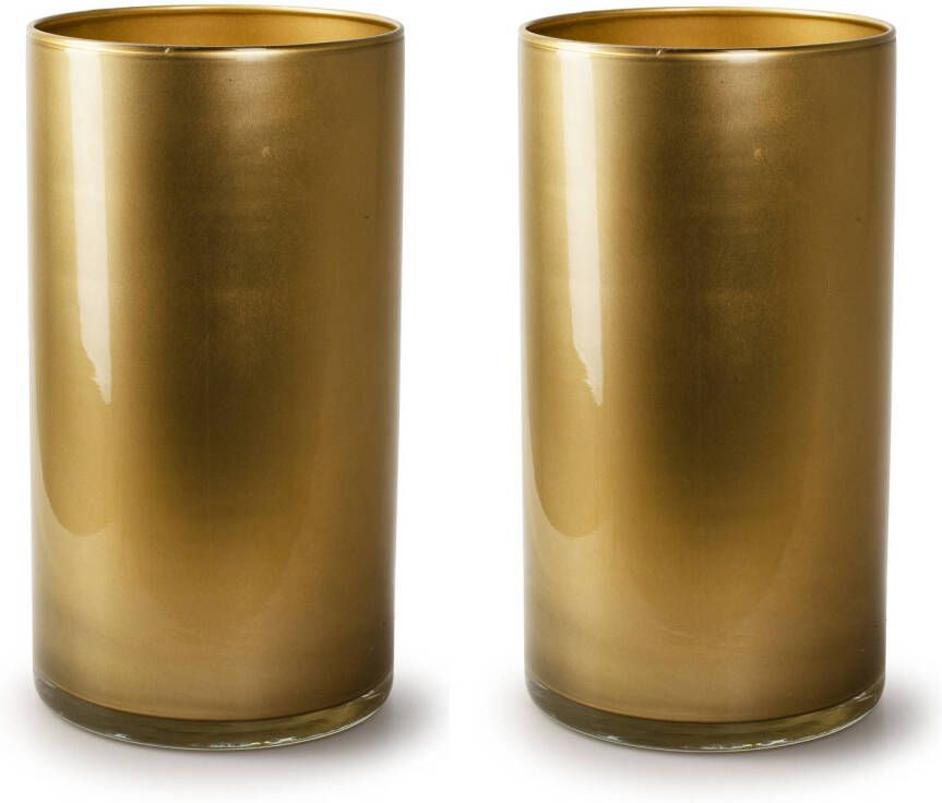 Merkloos 2x Stuks Bloemenvazen cilinder model glas metallic goud H30 x D15 cm Vazen