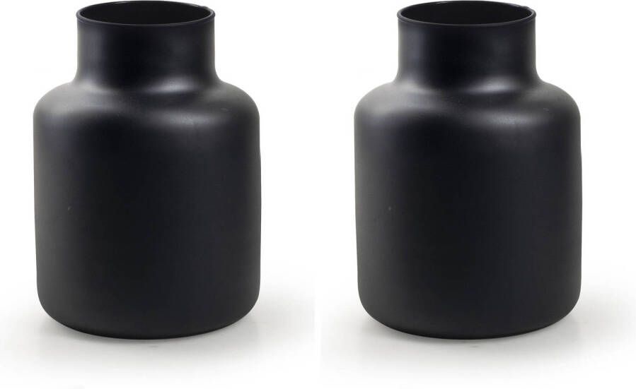 Merkloos 2x stuks bloemenvazen Fles model Eco glas zwart H20 x D14.5 cm Vazen