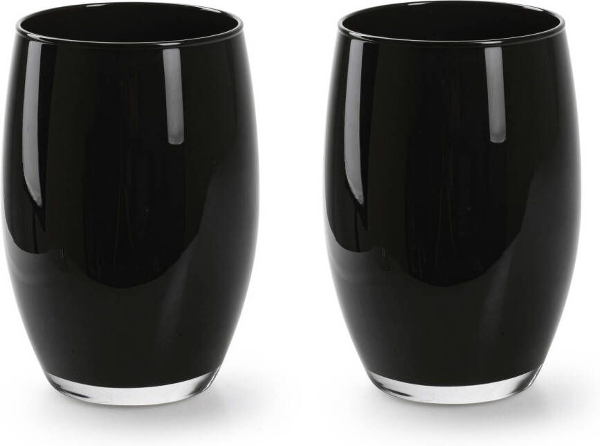 Merkloos 2x Stuks Bloemenvazen Galileo zwart stevig glas H20 x D14 cm Vazen