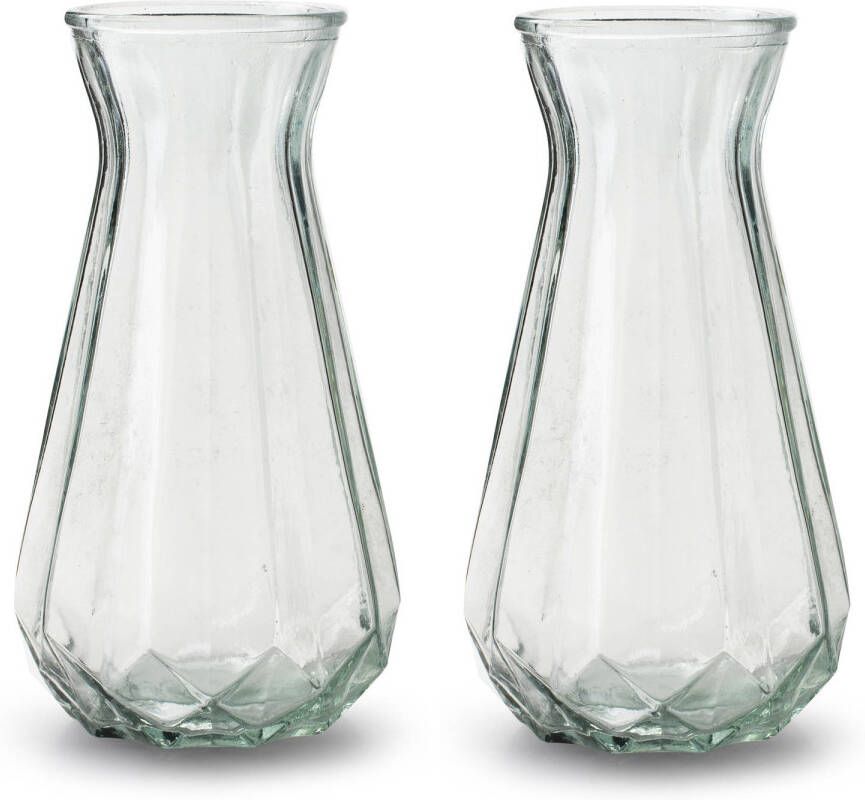 Merkloos 2x Stuks Bloemenvazen helder transparant glas H24 x D13.5 cm Vazen