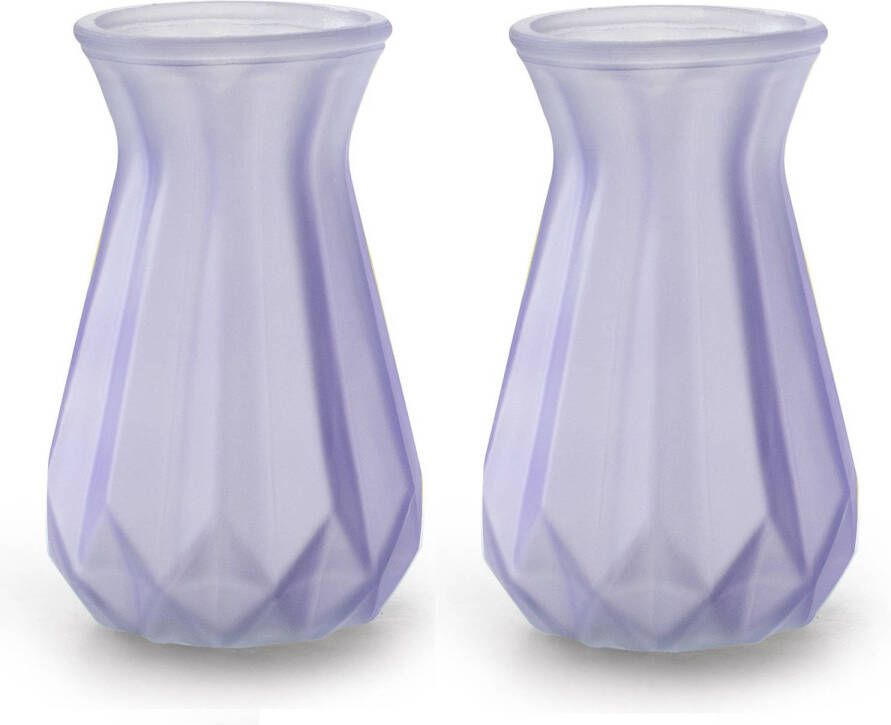 Jodeco Bloemenvazen 2x stuks Stijlvol model lila paars transparant glas H15 x D10 cm Vazen