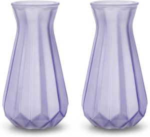 Merkloos 2x Stuks Bloemenvazen lila paars transparant glas H18 x D11.5 cm Vazen