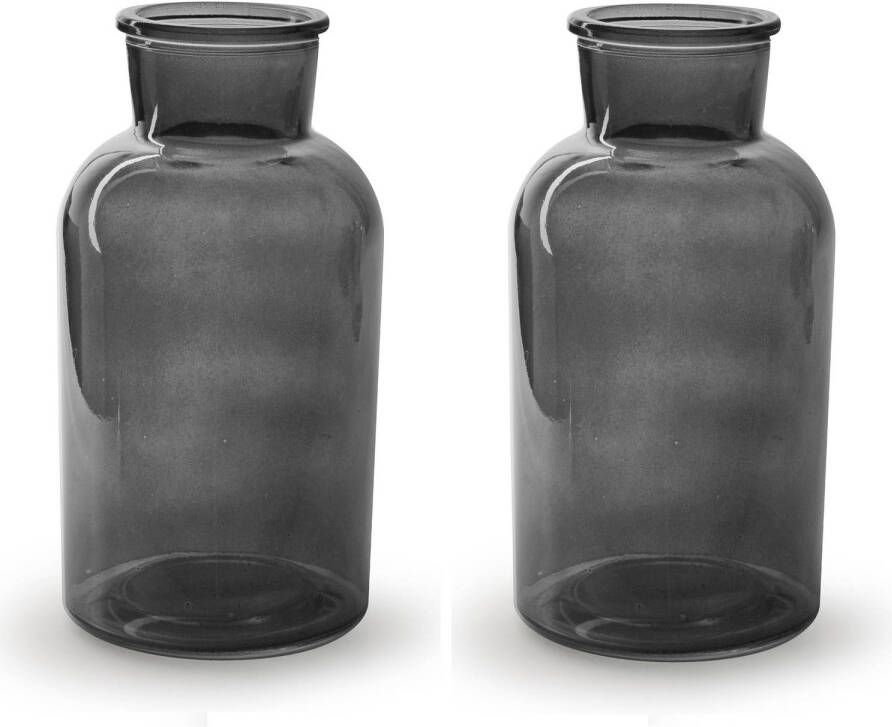 Merkloos 2x Stuks Bloemenvazen smoke grijs transparant glas H20 x D10 cm Vazen