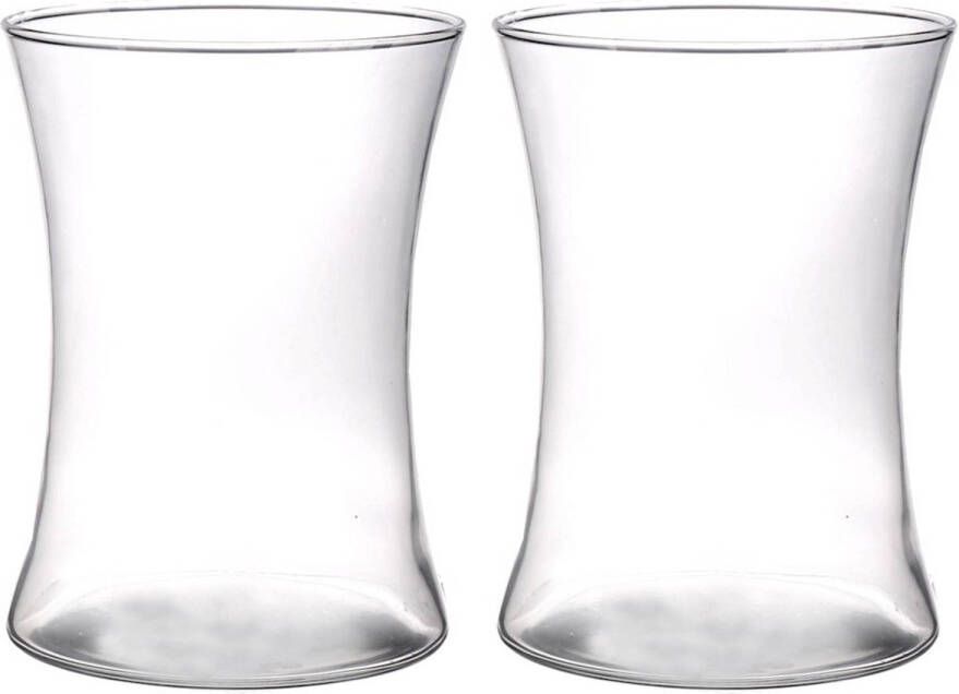 Merkloos 2x stuks glazen vaas vazen transparant 19 cm breed Vazen