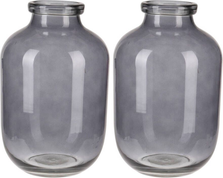 Merkloos 2x stuks grijze glazen vaas vazen 16 x 28 cm Vazen