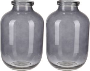 Merkloos 2x stuks grijze glazen vaas vazen 16 x 28 cm Vazen van glas Vazen