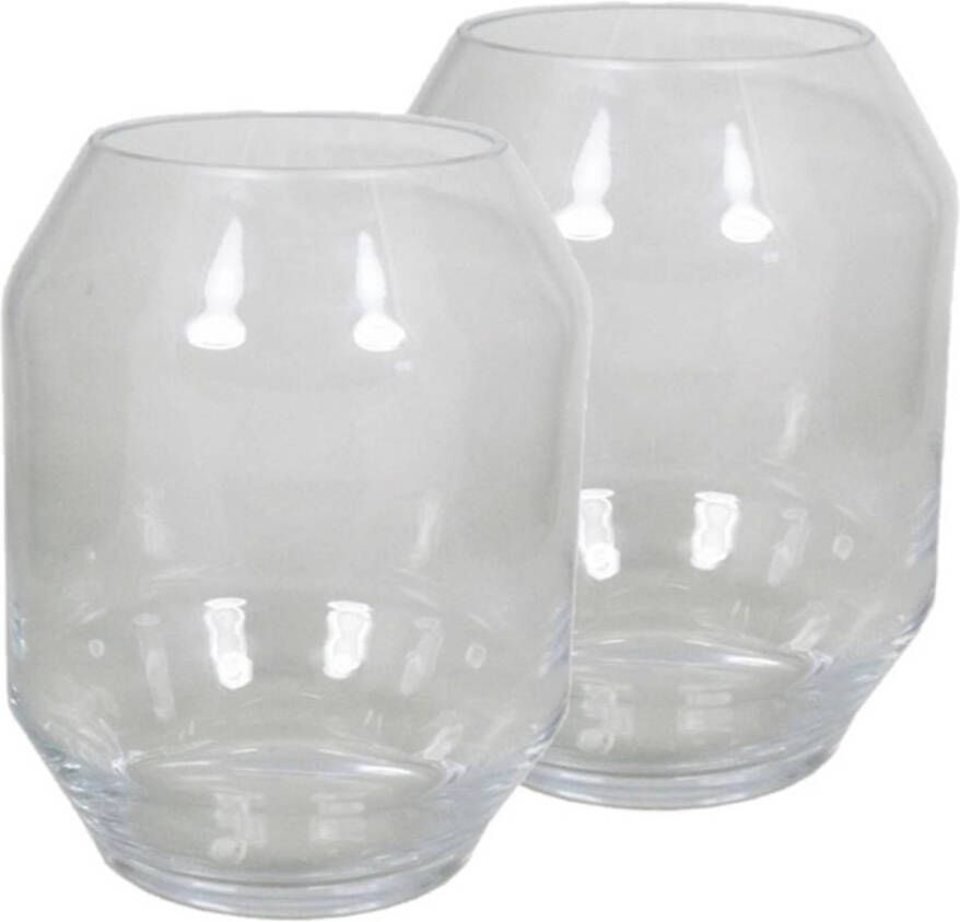 Merkloos 2x stuks ronde vaas helder glas 25 cm Bolvormige bloemenvazen van glas Vazen