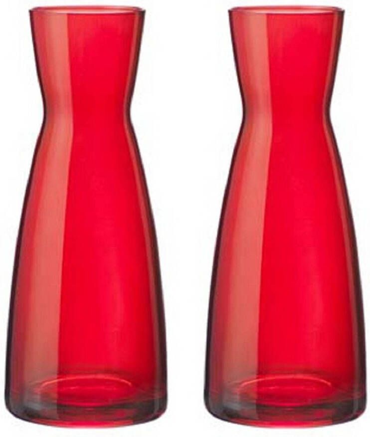 Merkloos 2x stuks Karaf vorm bloemen vaas rood glas 20.5 cm Vazen