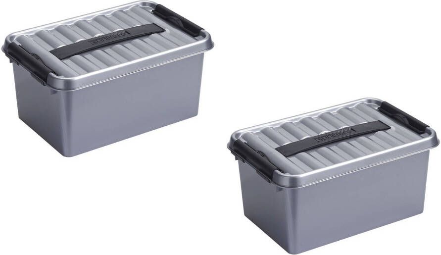 Sunware 2x stuks Q-Line opbergboxen opbergdozen 6 liter 30 7 x 20 x 14 cm kunststof Praktische opslagboxen Opbergbakken Opbergbox