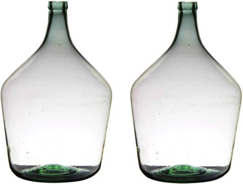 Merkloos 2x stuks luxe stijlvolle flessen bloemenvaas bloemenvazen 46 x 29 cm transparant glas Vazen