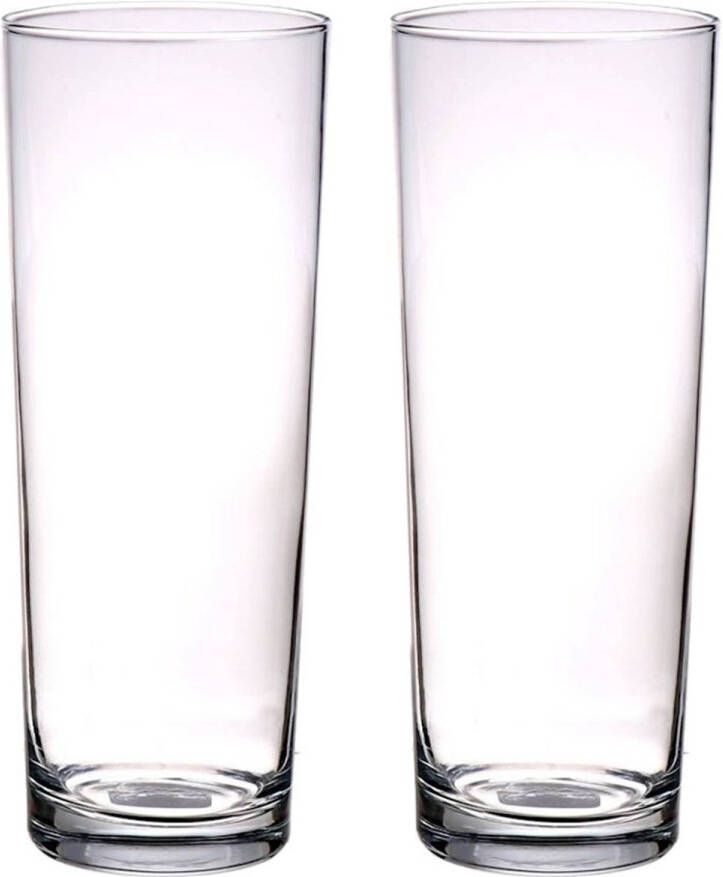 Merkloos 2x stuks rechte cilinder vaas vazen glas 24 cm kleine glazen vaasjes Bloemenvazen van glas Vazen