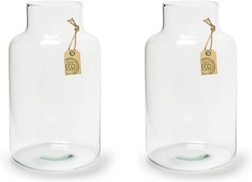 Merkloos 2x stuks transparante Eco melkbus vaas vazen van glas 25 cm hoog x 14.5 cm breed. Boeket of losse bloemen Vazen