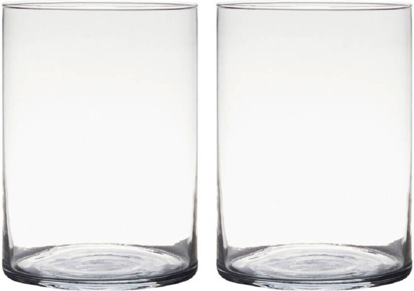 Merkloos 2x stuks transparante home-basics Cylinder vorm vaas vazen van glas 25 x 18 cm Bloemen takken boeketten vaas voor binnen gebruik Vazen