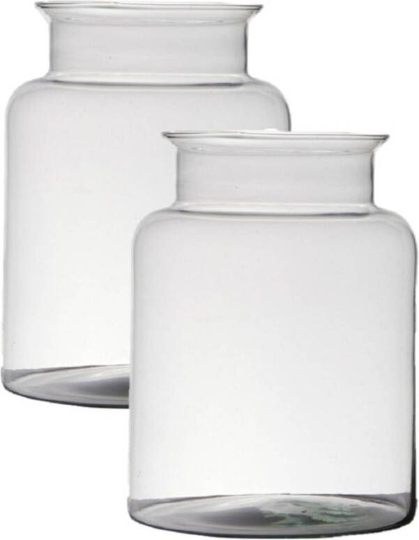 Merkloos 2x stuks transparante home-basics vaas vazen van glas 25 x 19 cm Bloemen takken boeketten vaas voor binnen gebruik Vazen
