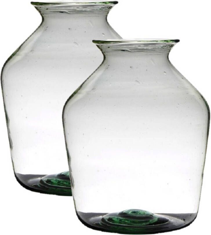 Merkloos 2x stuks transparante luxe grote vaas vazen van glas 40 x 29 cm Vazen