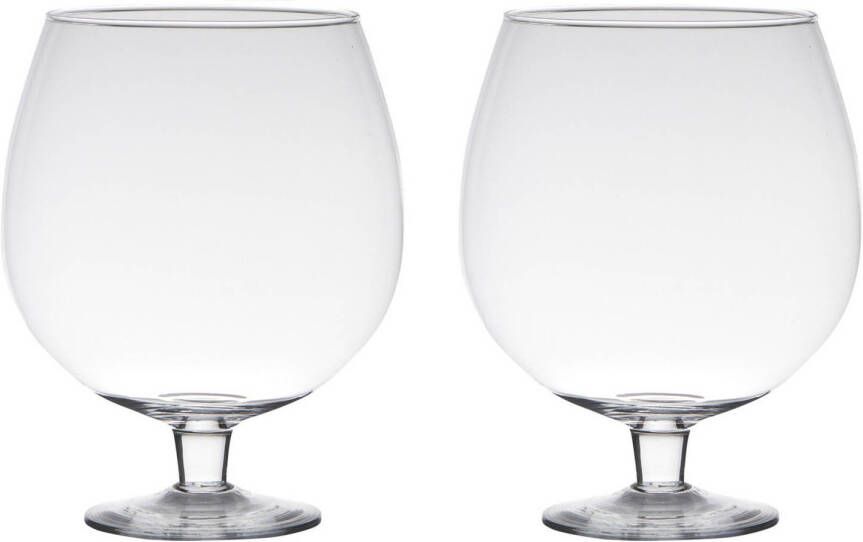 Merkloos 2x stuks transparante luxe stijlvolle Brandy vaas vazen van glas 24 cm Vazen