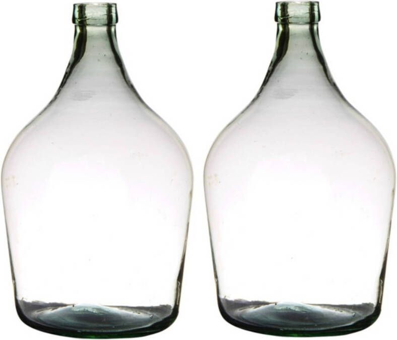 Merkloos 2x stuks transparante luxe stijlvolle flessen vaas vazen van glas 39 x 25 cm Bloemen takken vaas voor binnen gebruik Vazen