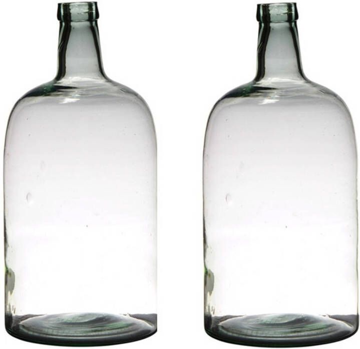 Merkloos 2x stuks transparante luxe stijlvolle flessen vaas vazen van glas 40 x 19 cm Bloemen takken vaas voor binnen gebruik Vazen
