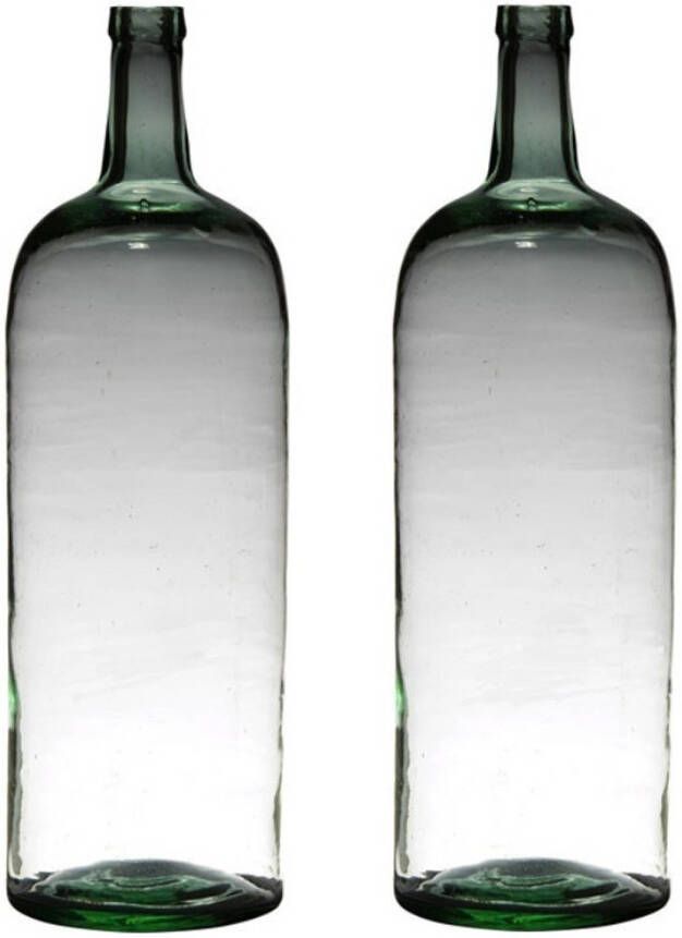 Merkloos 2x stuks transparante luxe stijlvolle flessen vaas vazen van glas 60 x 19 cm Bloemen takken vaas voor binnen gebruik Vazen
