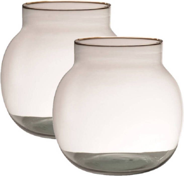 Merkloos 2x stuks transparante bruine ronde vissenkom vaas vazen van glas 20 x 19 cm Vazen