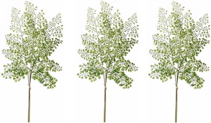 Merkloos 3x Kunstplant takken venushaar tak van 58 cm groen Kunstplanten