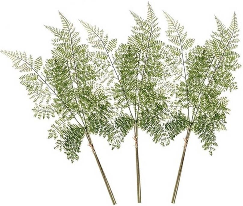 Merkloos 3x Kunstplanten bosvaren takken 58 cm groen Kunstplanten