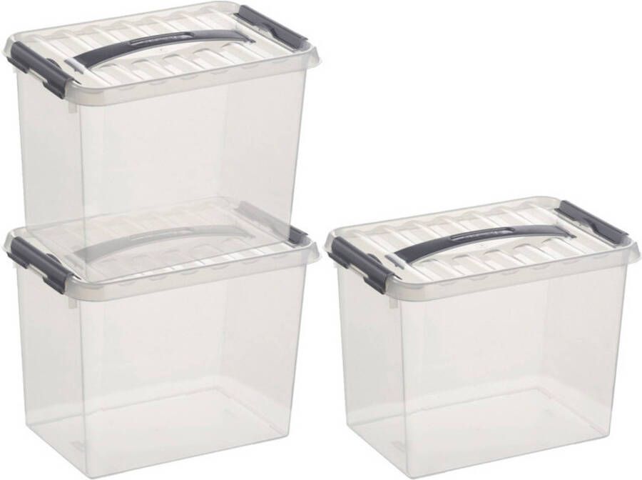 Sunware 3x Q-Line opberg boxen opbergdozen 9 liter 30 x 20 x 22 cm kunststof- Opslagbox Opbergbak kunststof transparant zilver Opbergbox