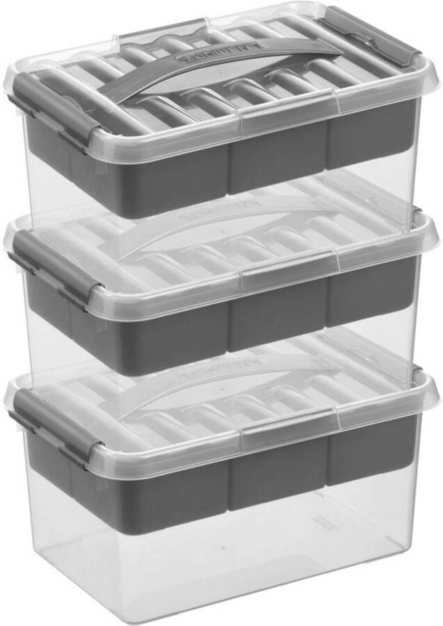 Sunware 3x Q-Line opberg boxen opbergdozen met vakverdeling vakken tray 6 liter 30 x 20 x 14 cm kunststof Gereedschapskist Opslagbox Opbergbak kunststof transparant zilver Opbergbox
