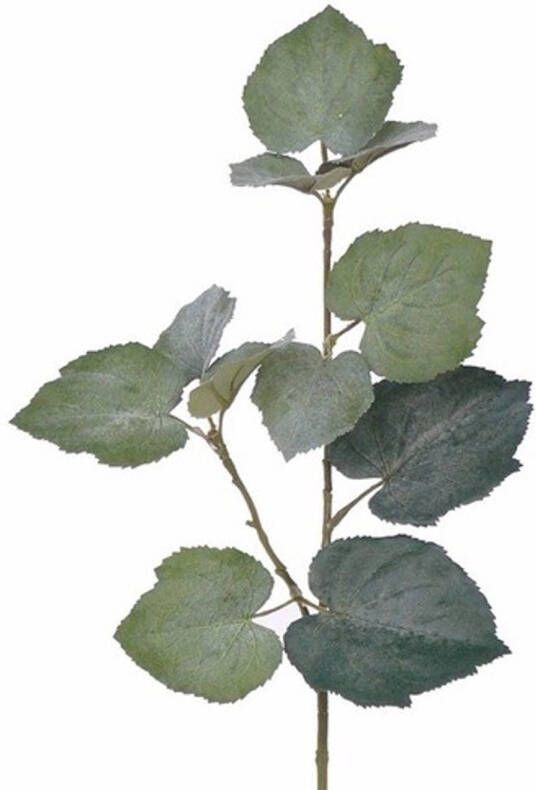 Merkloos 5x Kunstplant Linde Tilia bladgroen takken 50 cm groen Kunstbloemen