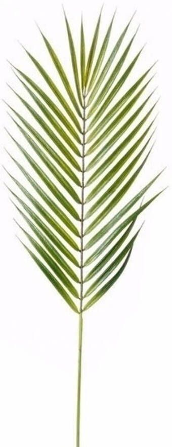 Merkloos 5x Kunstplanten Chamaedorea palm bladeren 75 cm Kunstbloemen