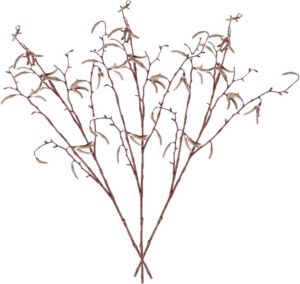 Merkloos 6x stuks betula pendula berkenkatjestakken kunstbloemen takken 66 cm decoratie Kunstplanten