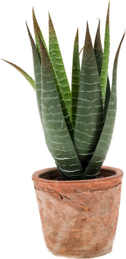 Merkloos Aloe Vera kunstplant in terracotta pot 23 cm Aloe Barbadensis Woondecoratie accessoires Kunstplanten Nepplanten Aloe vera planten in pot Kunstplanten