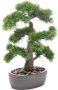 Merkloos Bonsai boompje Cedrus Atlantica Glauca kunstplant in kunststof pot 45 cm Kunstplanten - Thumbnail 1