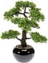 Merkloos Bonsai boompje Ficus Retusa kunstplant in kunststof pot 47 cm Kunstplanten - Thumbnail 1