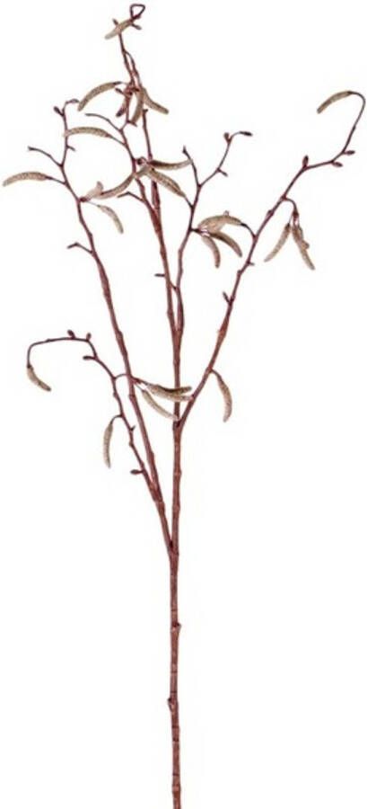 Merkloos Bruine Betula pendula berkenkatjes kunsttak 66 cm Kunstbloemen