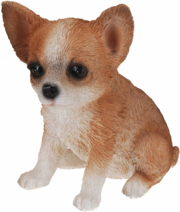 Merkloos Chihuahua honden beeldje voor binnen 17 cm dierenbeelden Beeldjes