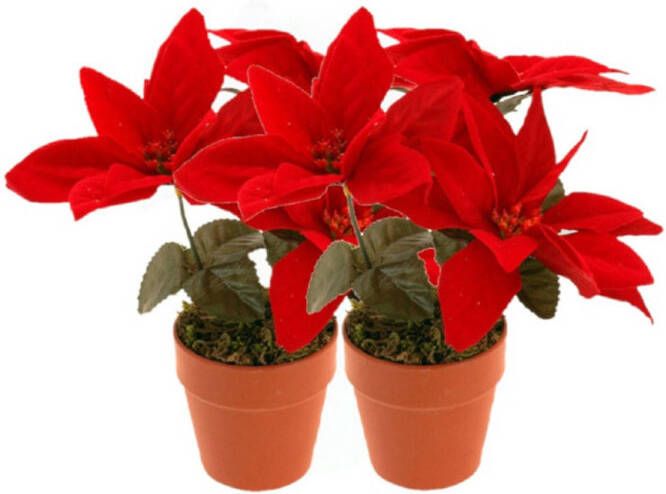 Merkloos Christmas Decoration Kunstplantje- 2x Kerstster rood 20 cm -binnen Kunstplanten