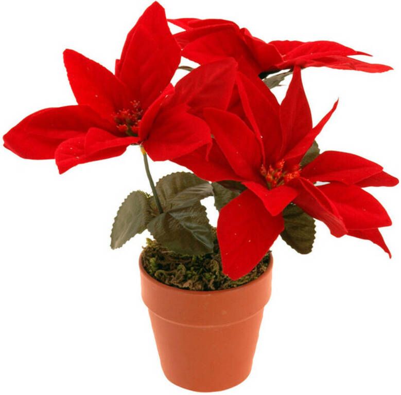 Merkloos Christmas Decoration Kunstplantje- Kerstster rood 20 cm -voor binnen Kunstplanten